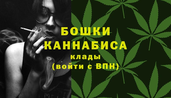 твердый Дмитровск