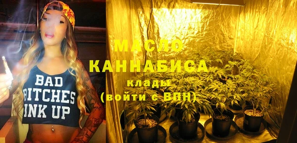 твердый Дмитровск