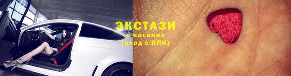 твердый Дмитровск