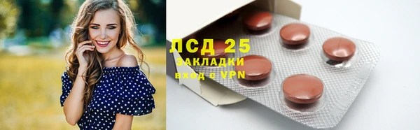 твердый Дмитровск