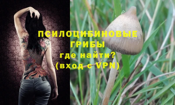 меф VHQ Дмитриев