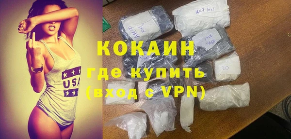 твердый Дмитровск