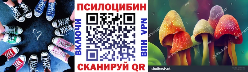 Галлюциногенные грибы MAGIC MUSHROOMS  Касимов 