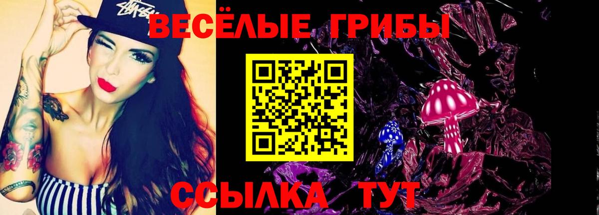 Псилоцибиновые грибы Magic Shrooms  Галлюциногенные грибы мухоморы  Касимов  Вход с VPN 