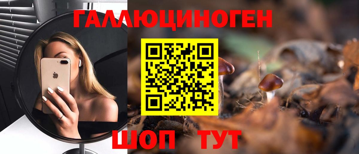 Галлюциногенные грибы Magic Shrooms Касимов